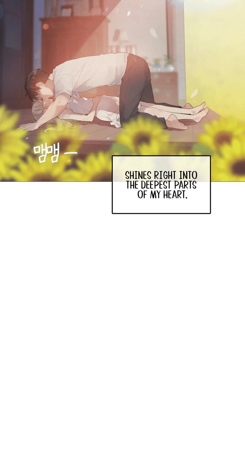 In the Season When Sunflowers Whisper Chapter 1 page 7 - 
