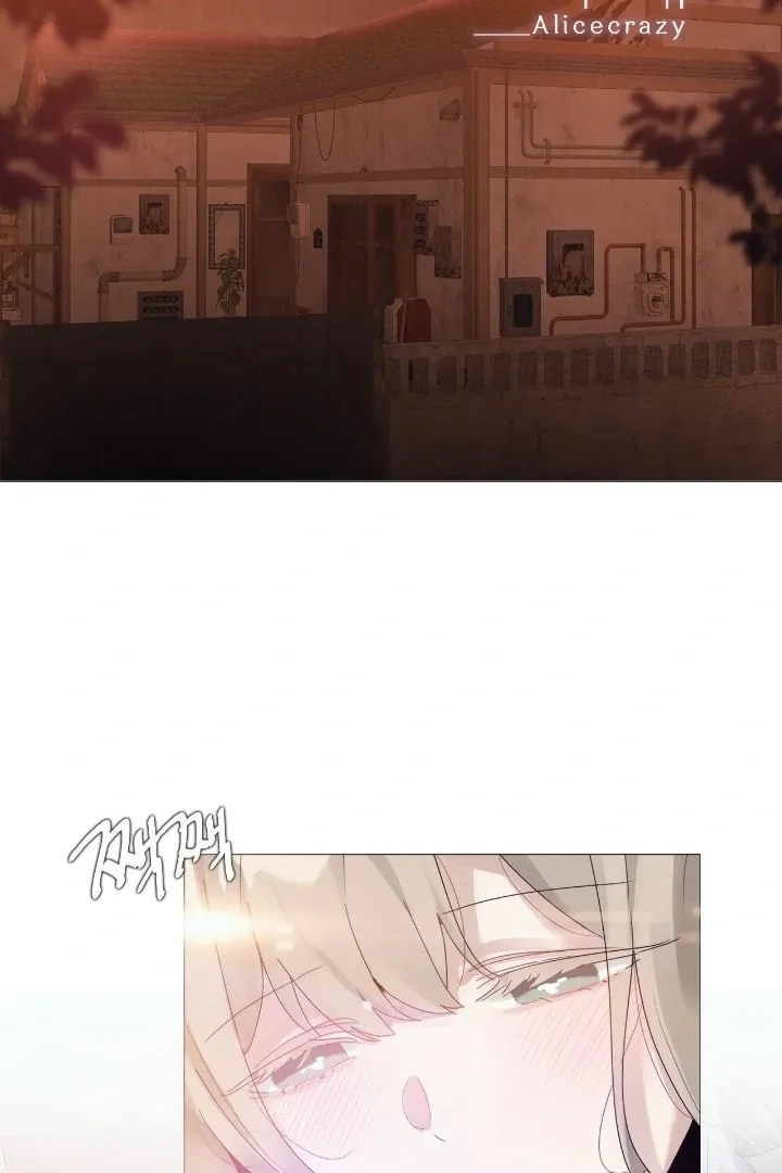 In the Season When Sunflowers Whisper Chapter 12 page 3 - 