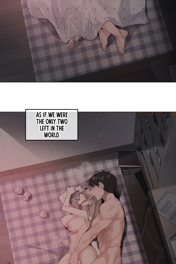 In the Season When Sunflowers Whisper Chapter 14 page 20 - 