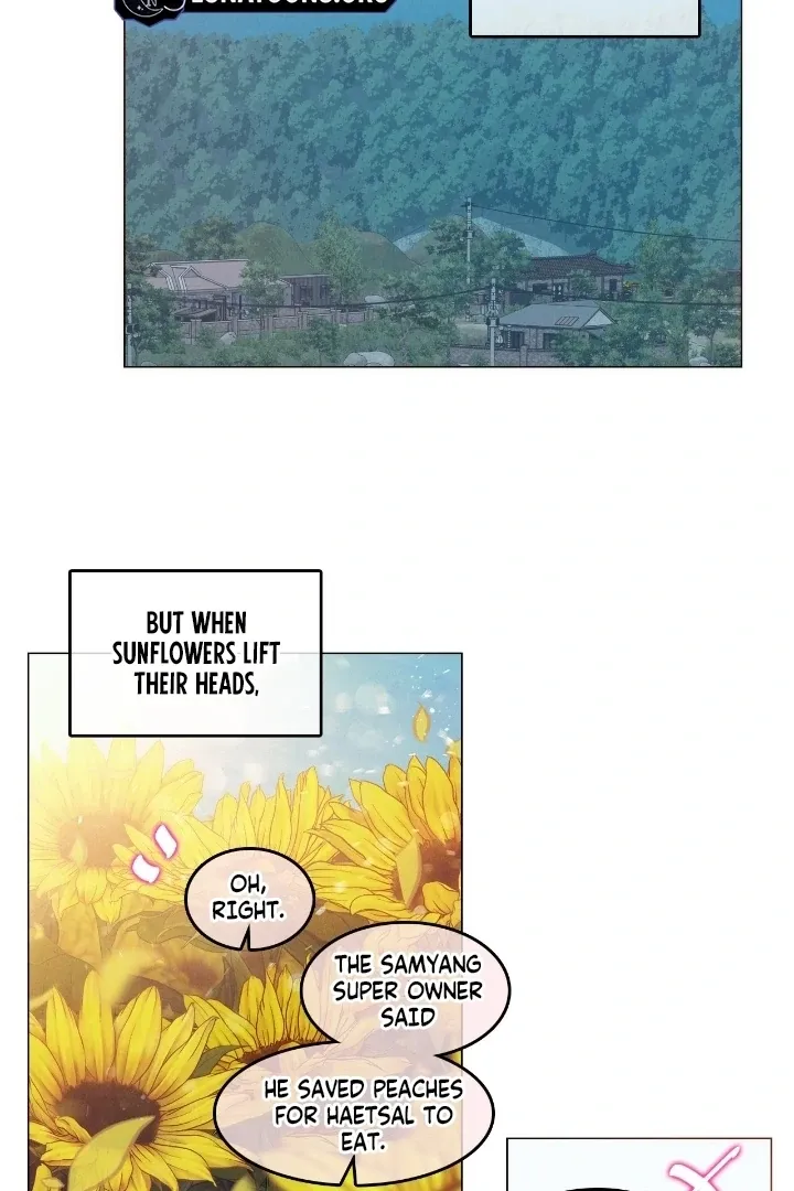 In the Season When Sunflowers Whisper Chapter 14 page 62 - 