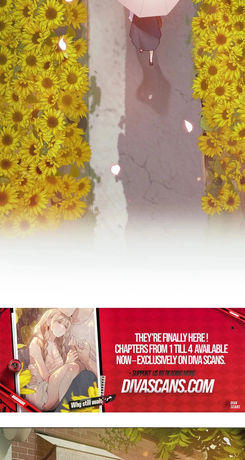 In the Season When Sunflowers Whisper Chapter 3 page 26 - 