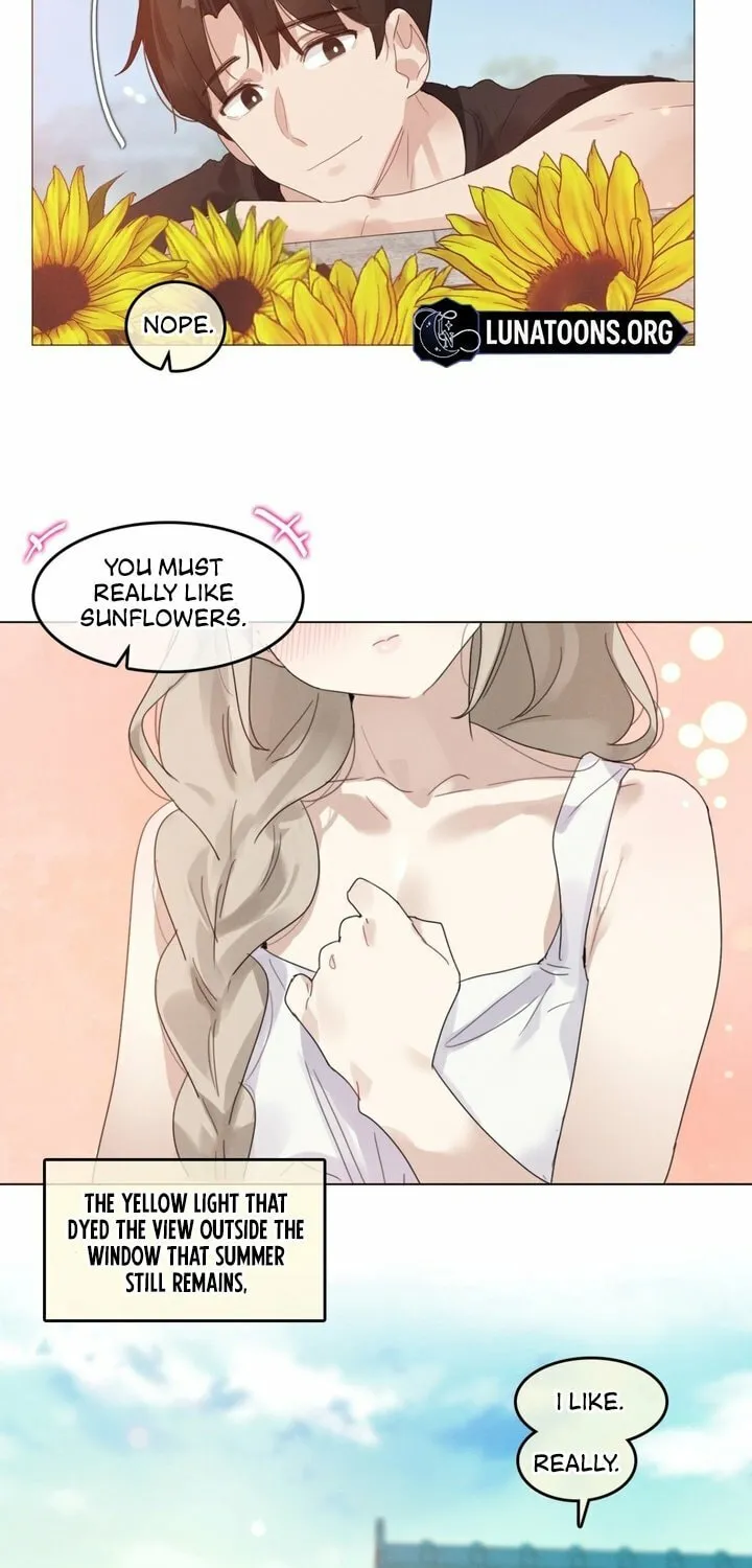 In the Season When Sunflowers Whisper Chapter 6.5 page 13 - 