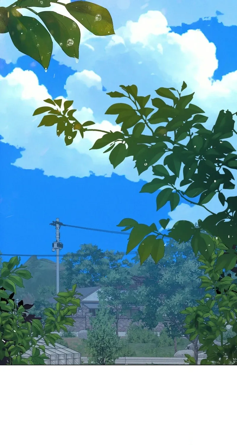 In the Season When Sunflowers Whisper Chapter 6 page 11 - 