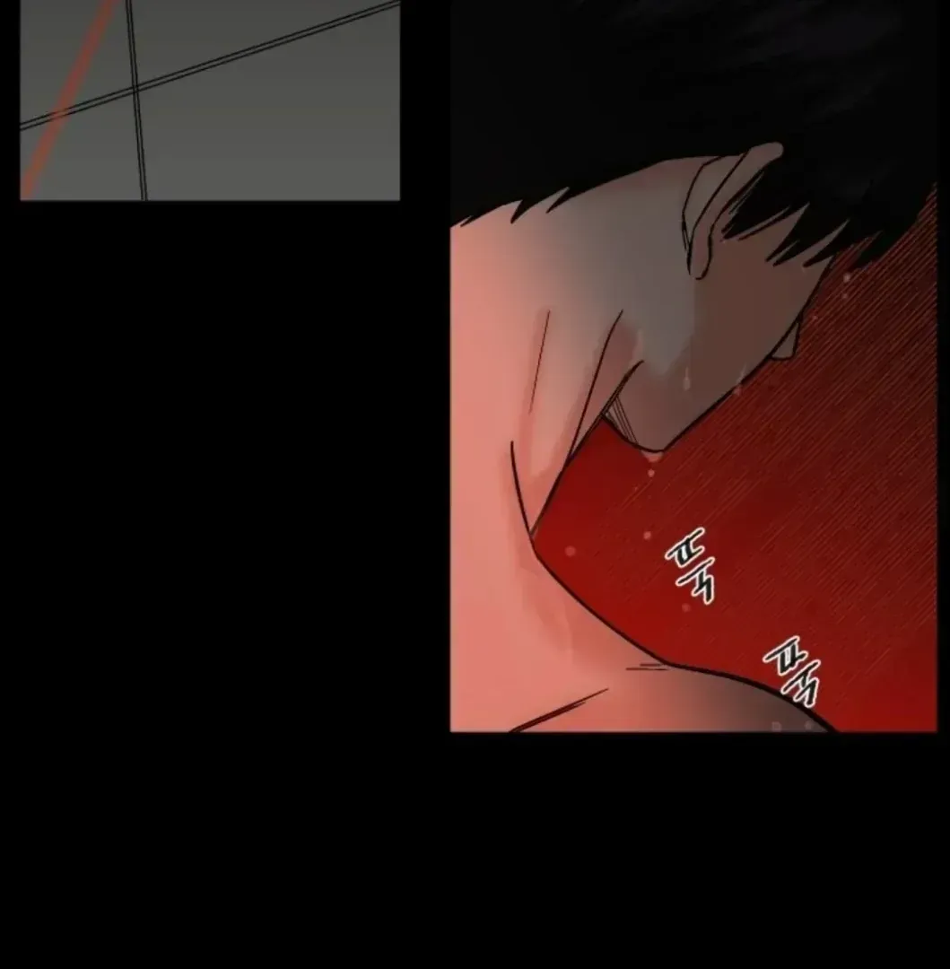 Incident Name: Tsunami: Killer Whale Hunting Method Chapter 1.4 page 163 - 