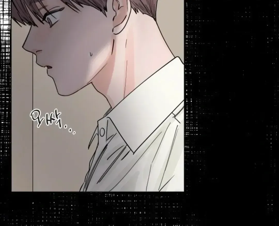 Incident Name: Tsunami: Killer Whale Hunting Method Chapter 2.3 page 107 - 