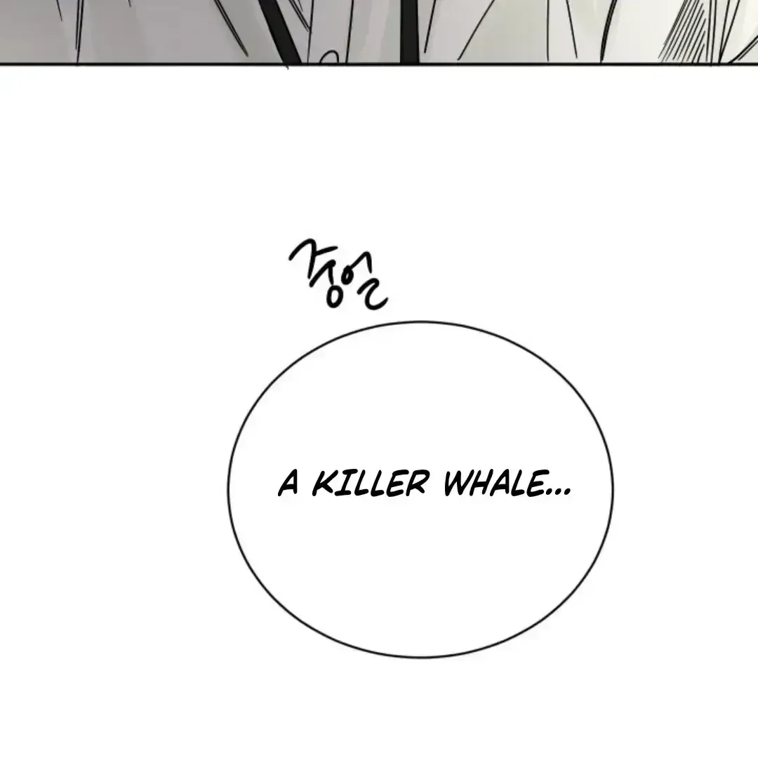 Incident Name: Tsunami: Killer Whale Hunting Method Chapter 2.7 page 130 - 