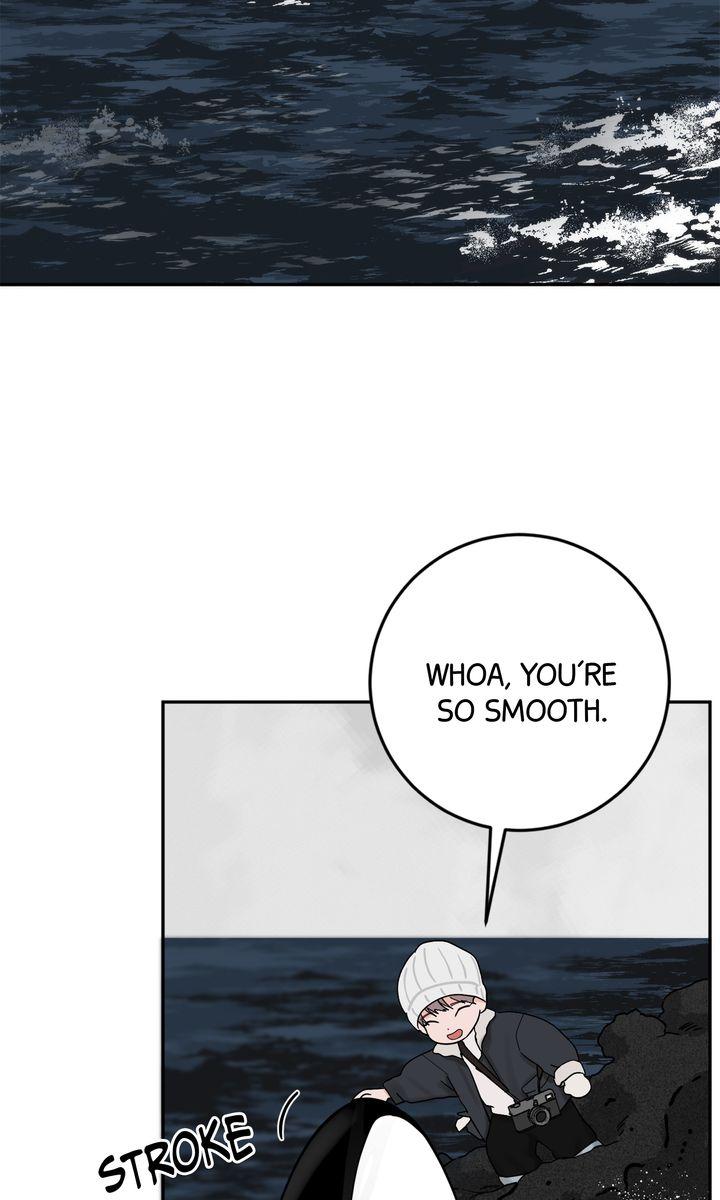 Incident Name: Tsunami: Killer Whale Hunting Method Chapter 29 page 44 - 