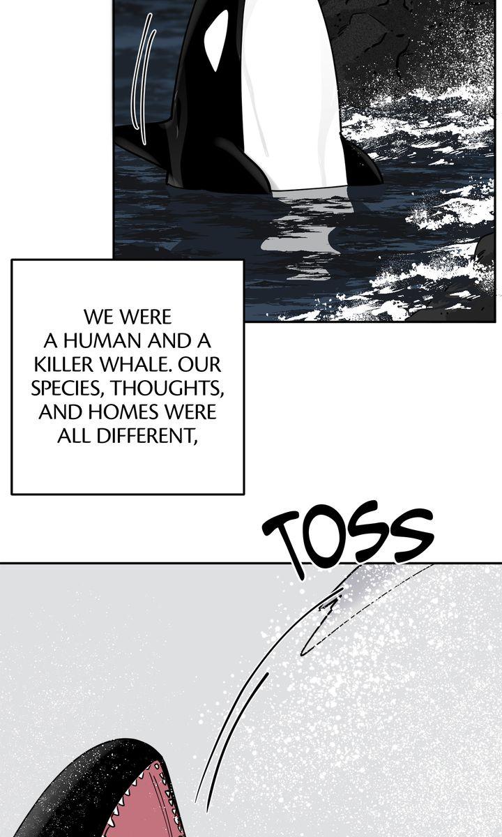 Incident Name: Tsunami: Killer Whale Hunting Method Chapter 29 page 45 - 