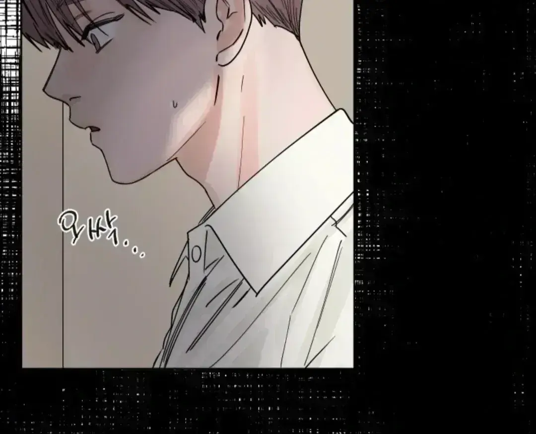 Incident Name: Tsunami: Killer Whale Hunting Method Chapter 3.3 page 107 - 
