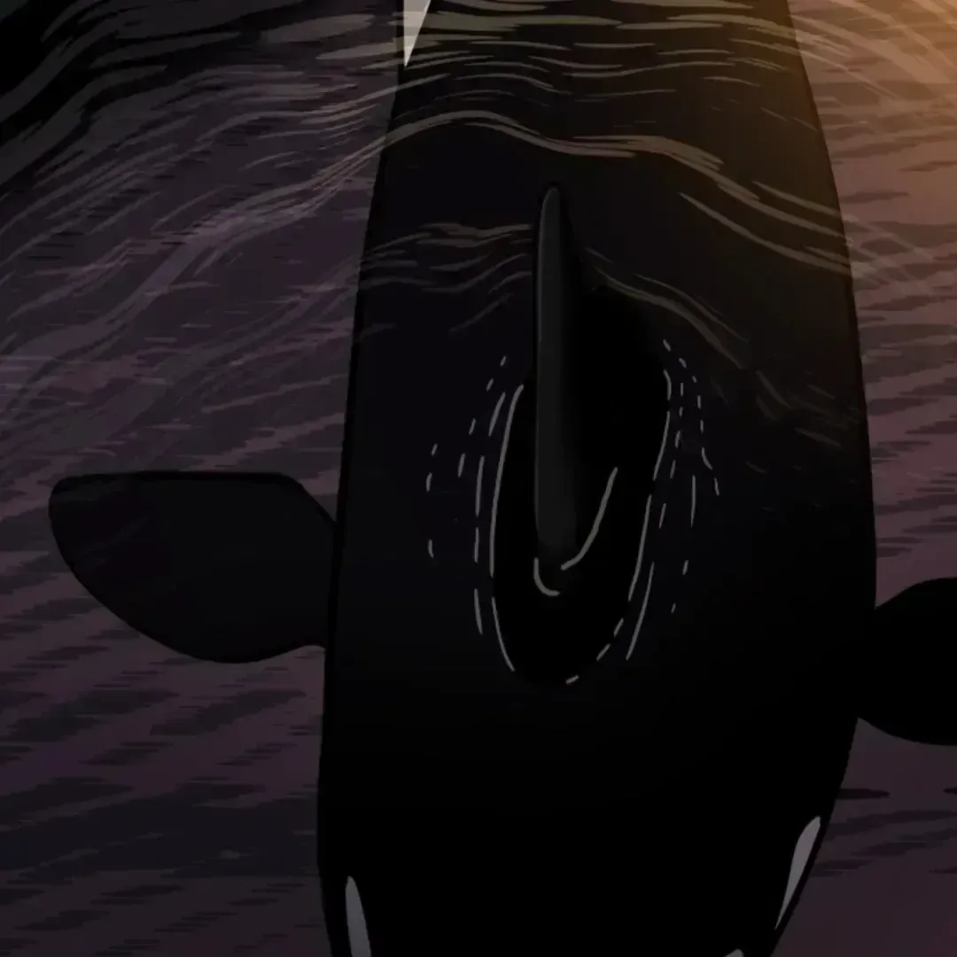 Incident Name: Tsunami: Killer Whale Hunting Method Chapter 3.8 page 6 - 