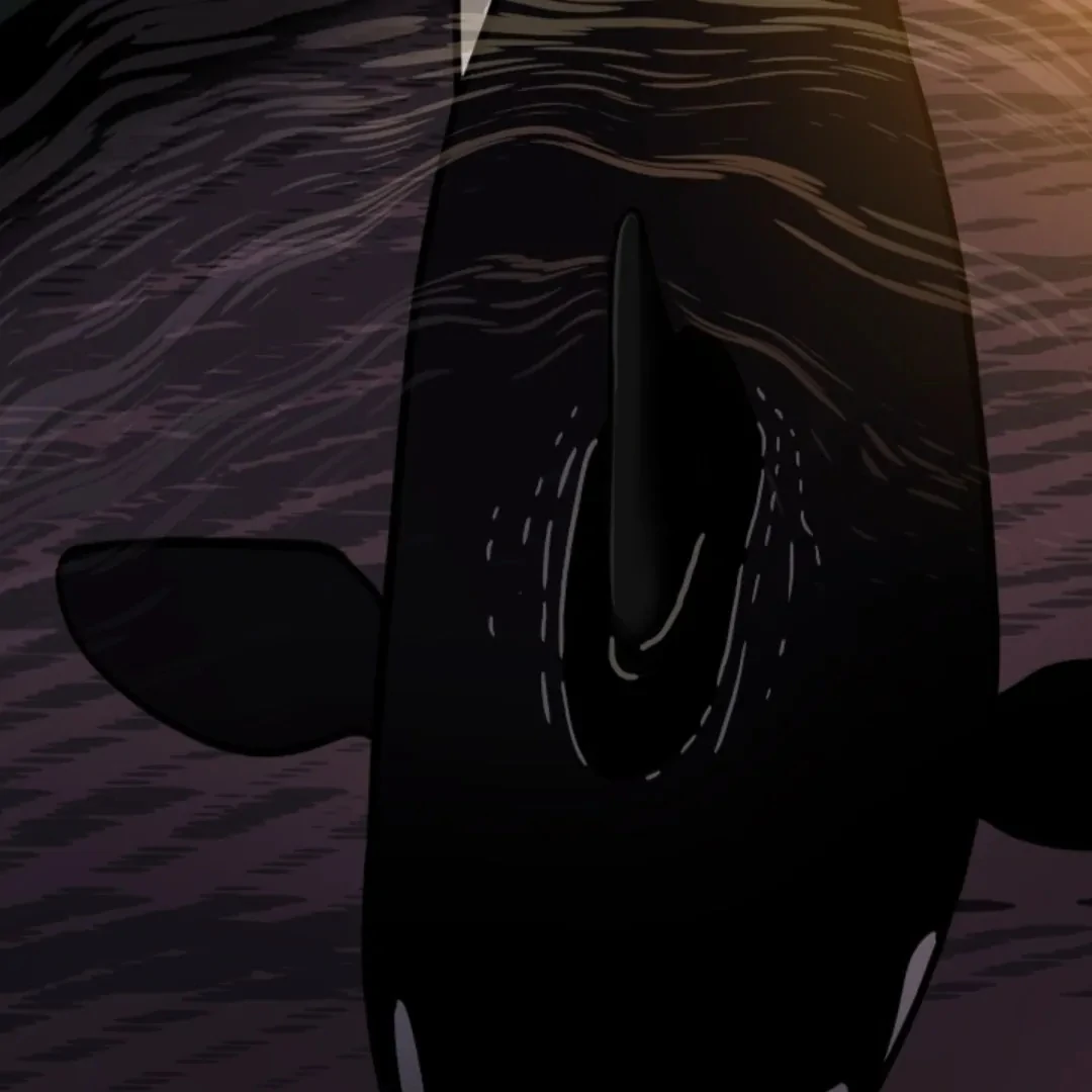 Incident Name: Tsunami: Killer Whale Hunting Method Chapter 3 page 7 - 