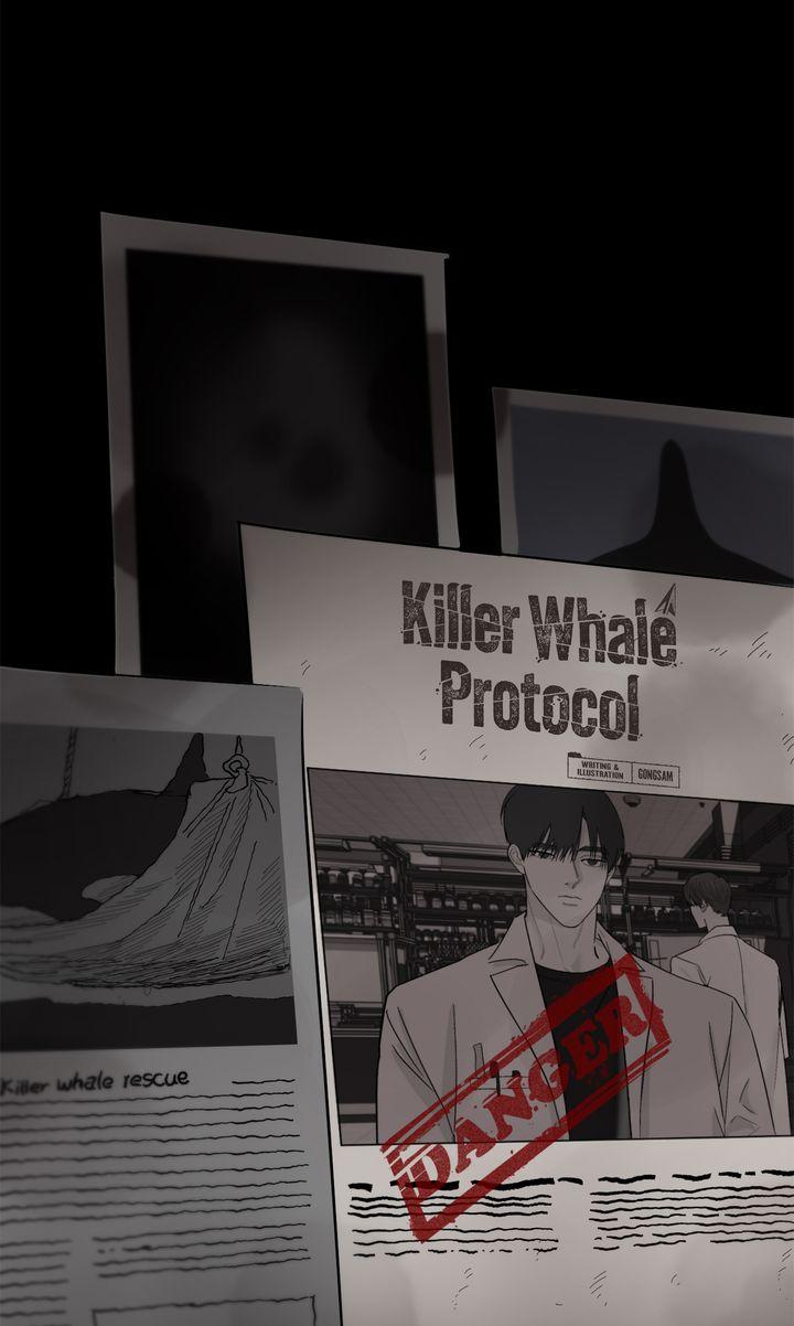 Incident Name: Tsunami: Killer Whale Hunting Method Chapter 36 page 19 - 