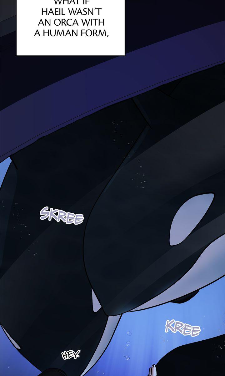 Incident Name: Tsunami: Killer Whale Hunting Method Chapter 36 page 62 - 