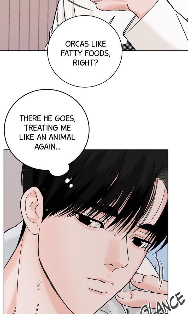Incident Name: Tsunami: Killer Whale Hunting Method Chapter 37 page 81 - 