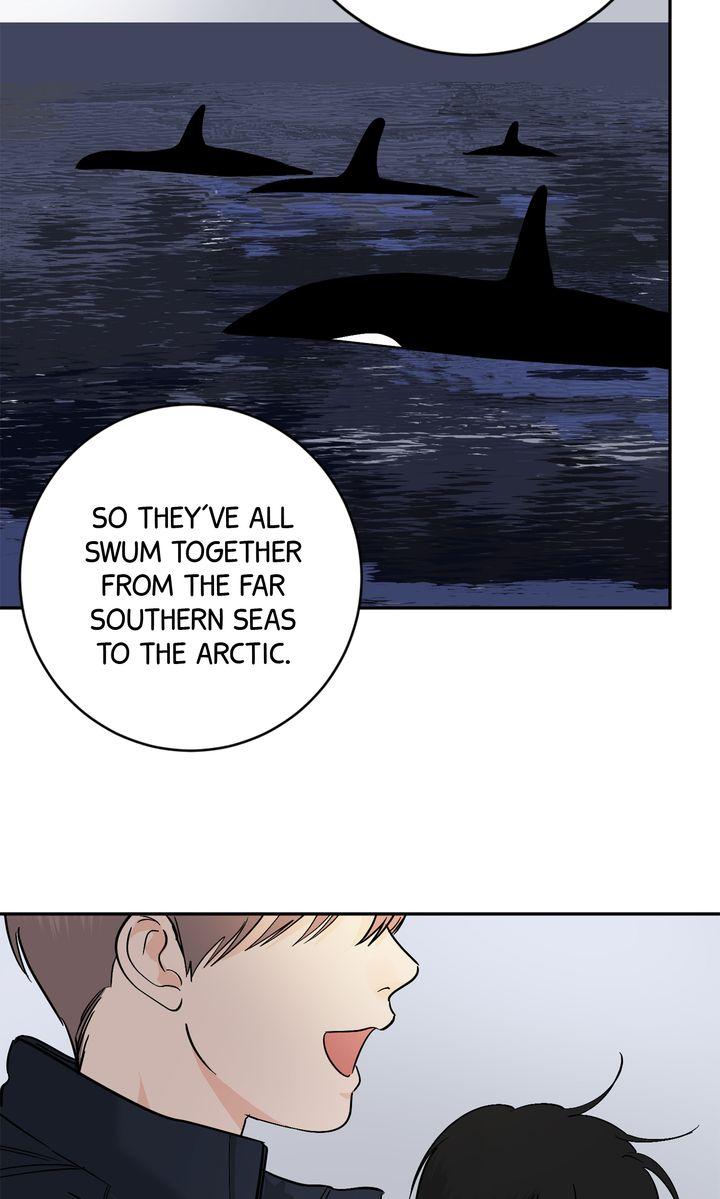 Incident Name: Tsunami: Killer Whale Hunting Method Chapter 40 page 39 - 