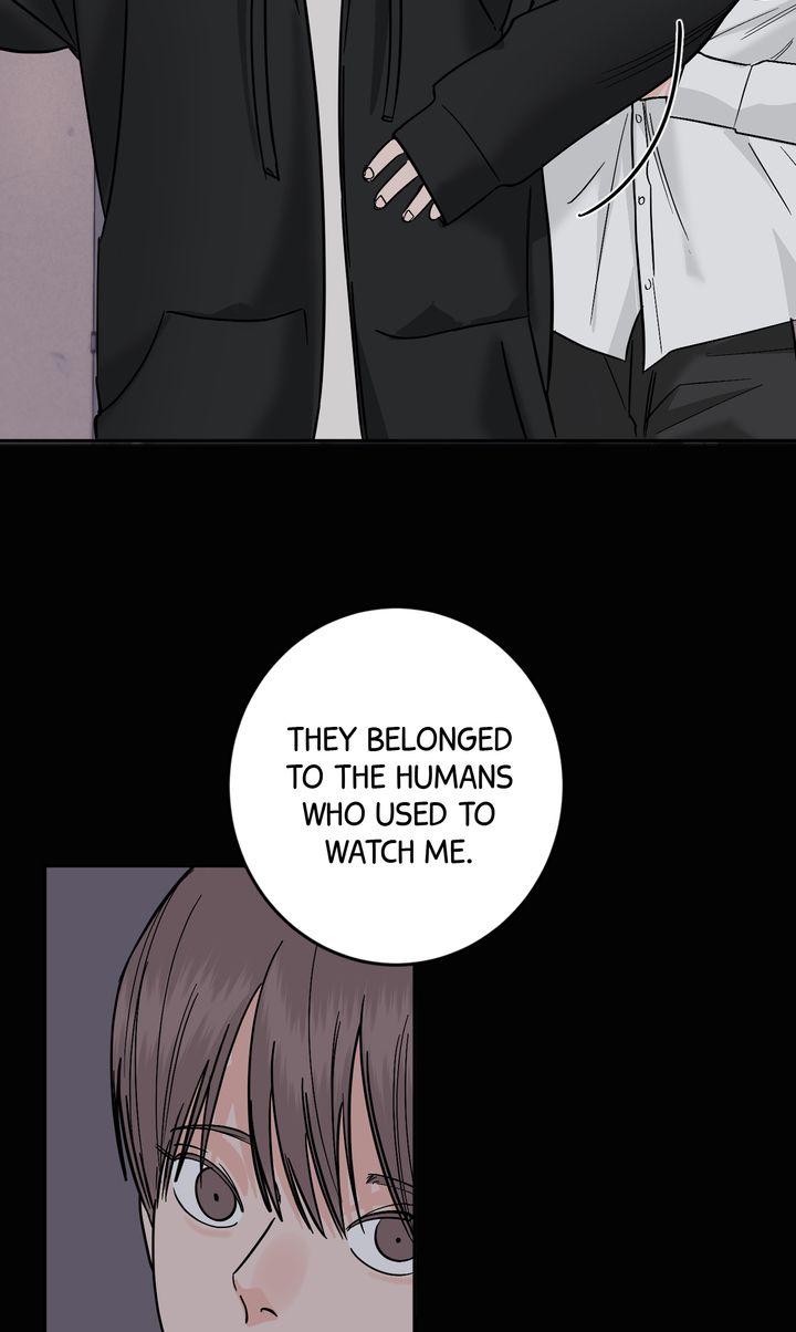 Incident Name: Tsunami: Killer Whale Hunting Method Chapter 43 page 67 - 