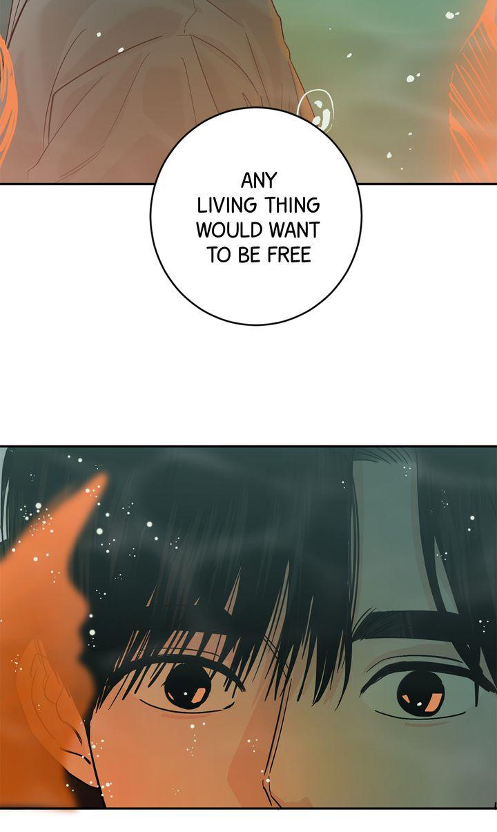Incident Name: Tsunami: Killer Whale Hunting Method Chapter 44 page 85 - 