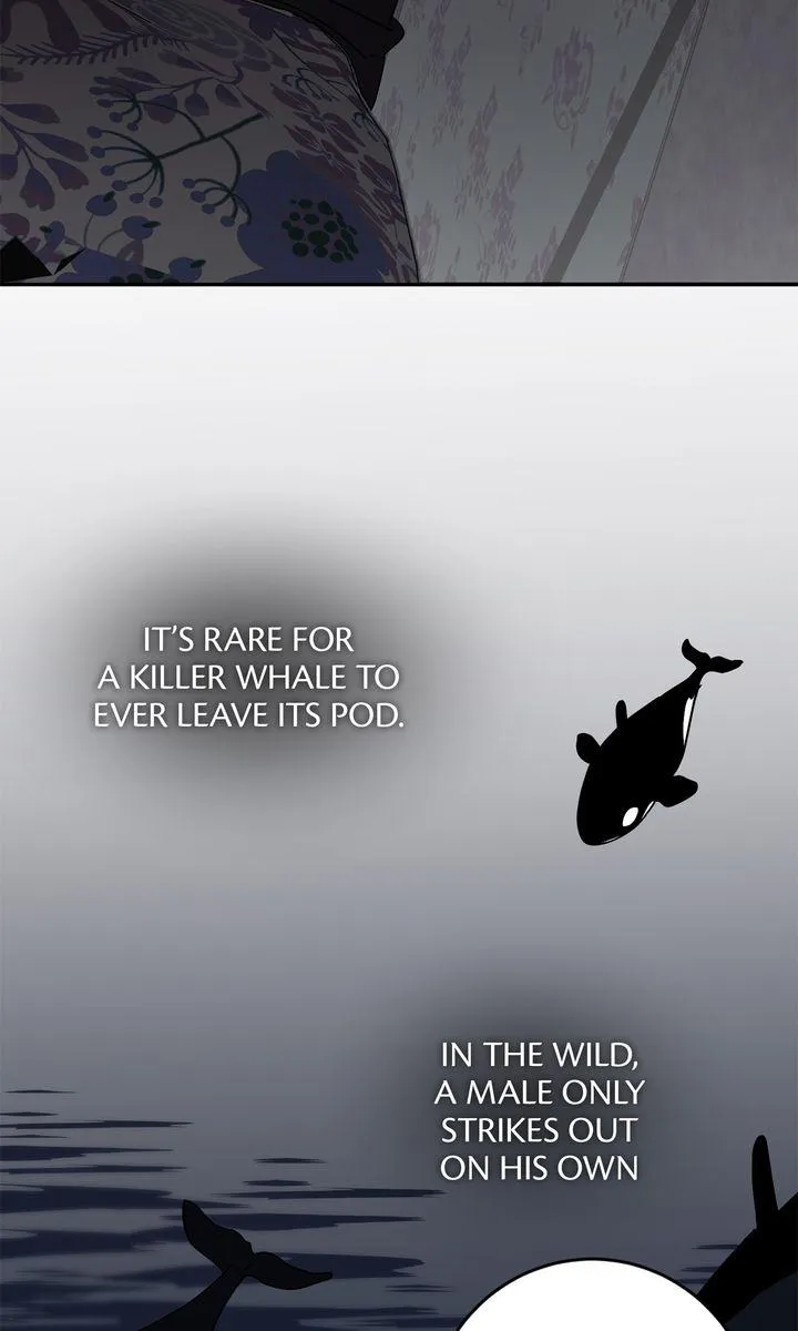 Incident Name: Tsunami: Killer Whale Hunting Method Chapter 49 page 24 - 