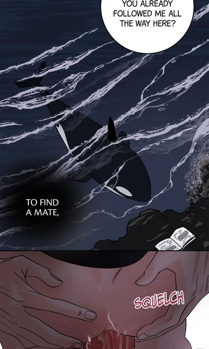 Incident Name: Tsunami: Killer Whale Hunting Method Chapter 49 page 26 - 