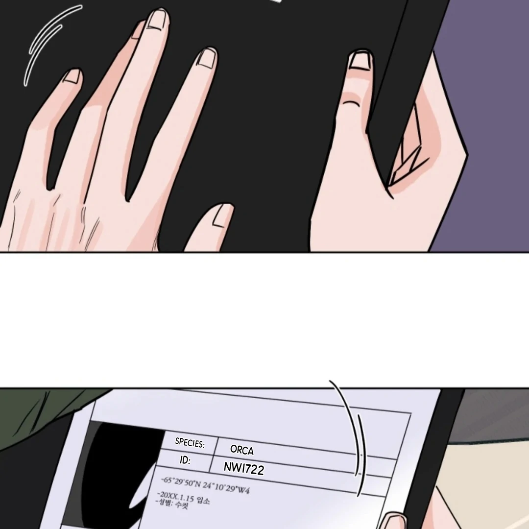 Incident Name: Tsunami: Killer Whale Hunting Method Chapter 5 page 41 - 