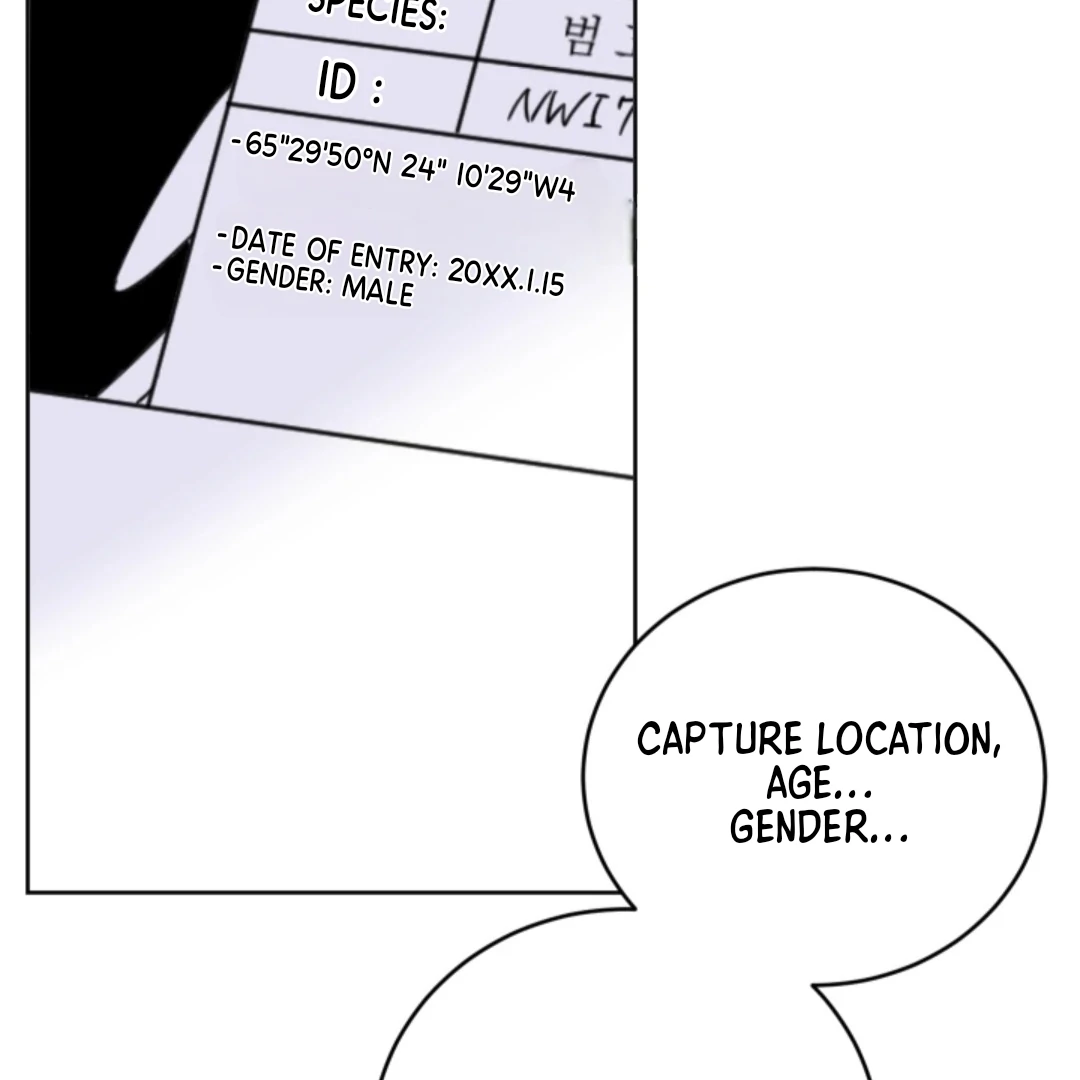 Incident Name: Tsunami: Killer Whale Hunting Method Chapter 5 page 43 - 