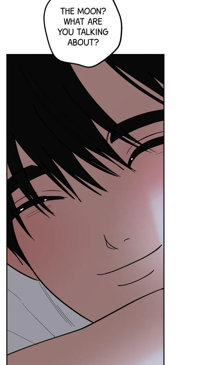 Incident Name: Tsunami: Killer Whale Hunting Method Chapter 51.5 page 25 - 