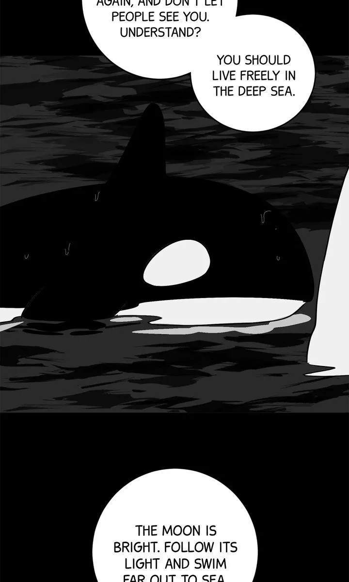 Incident Name: Tsunami: Killer Whale Hunting Method Chapter 51.5 page 35 - 