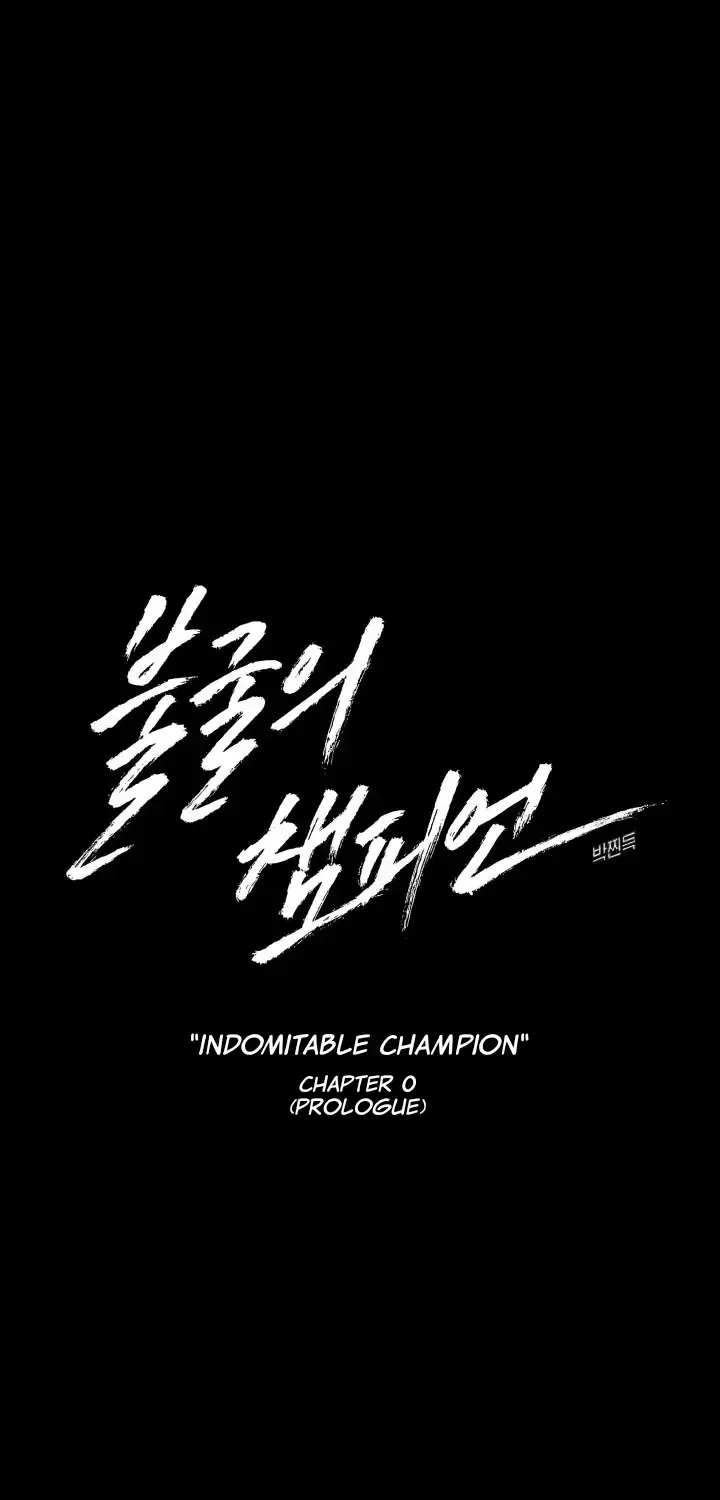 Indomitable Champion Chapter 1.3 page 29 - 