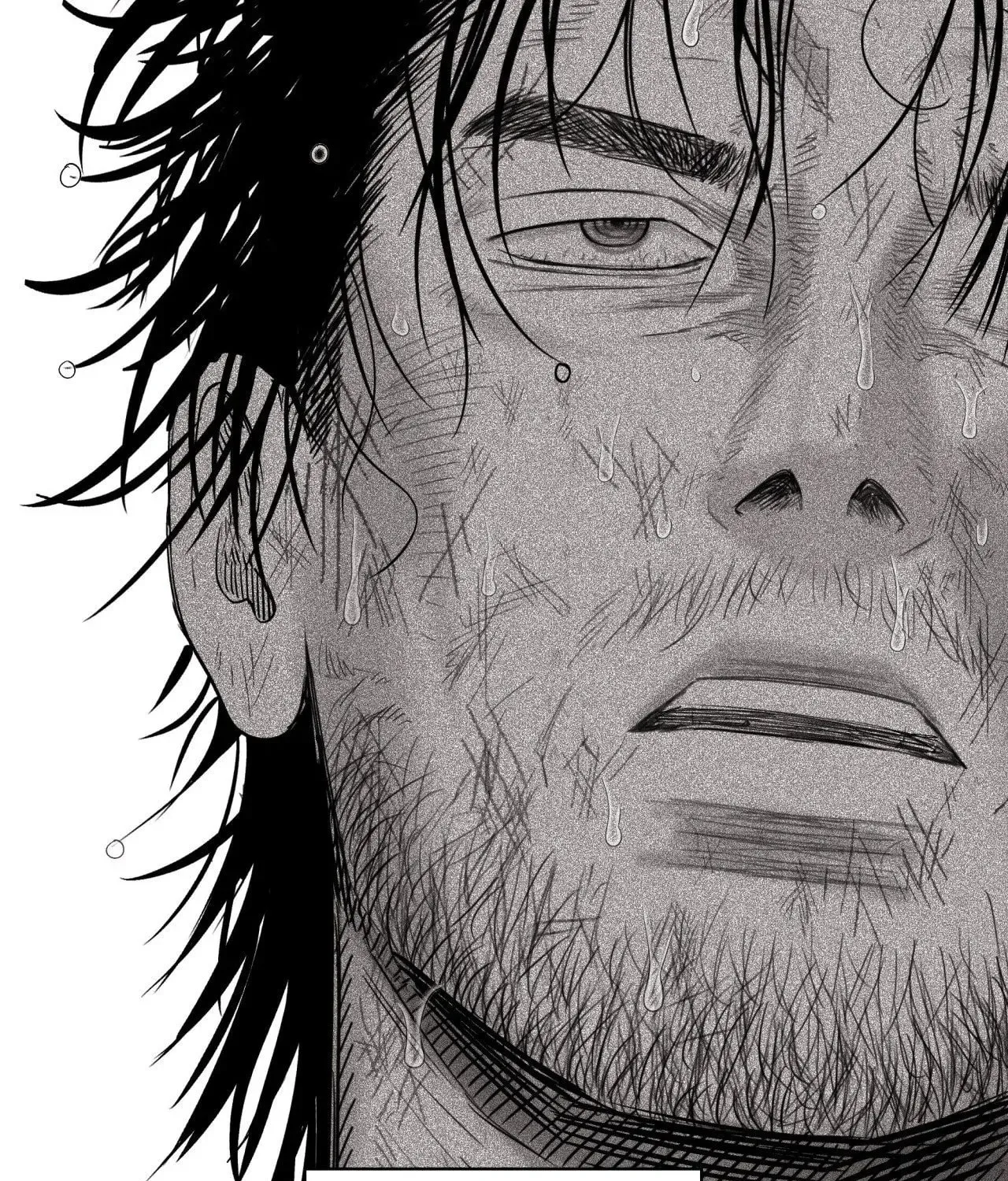 Indomitable Champion Chapter 17 page 102 - 