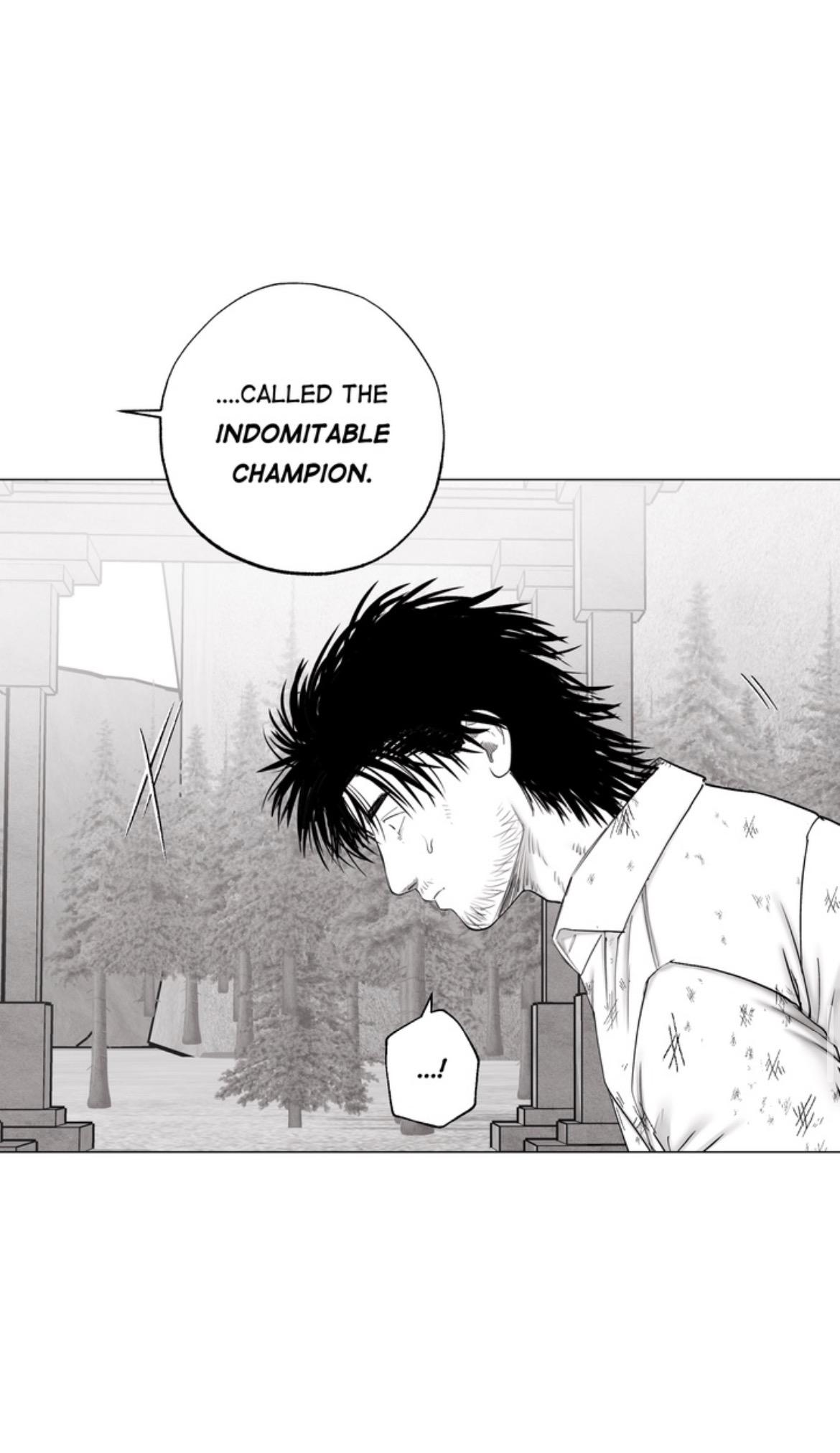 Indomitable Champion Chapter 45 page 51 - 