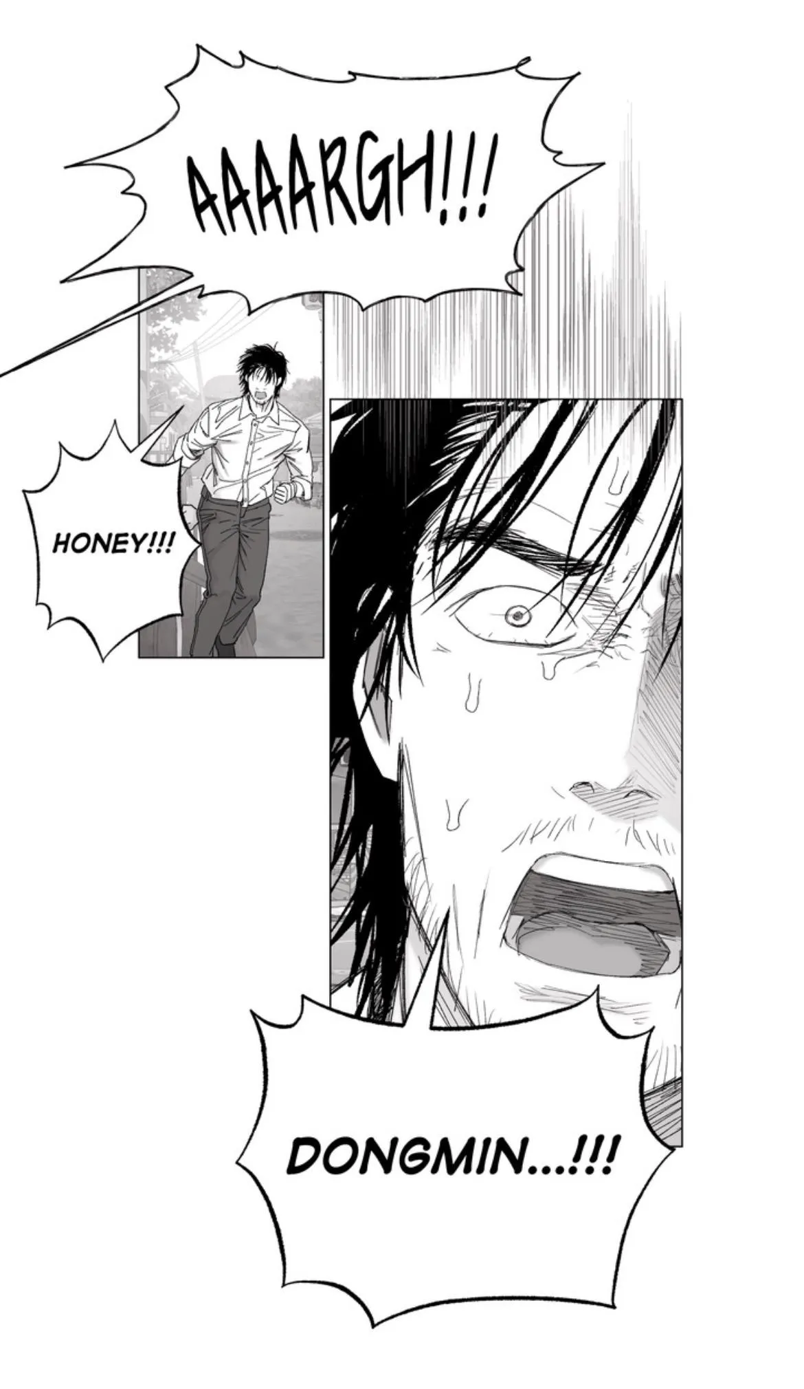 Indomitable Champion Chapter 53 page 29 - 