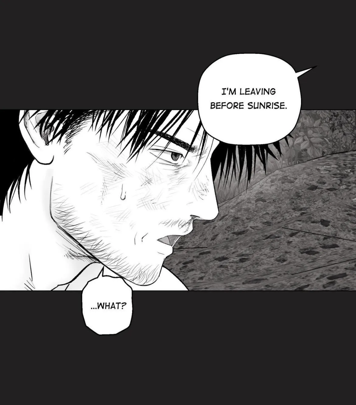 Indomitable Champion Chapter 55 page 5 - 
