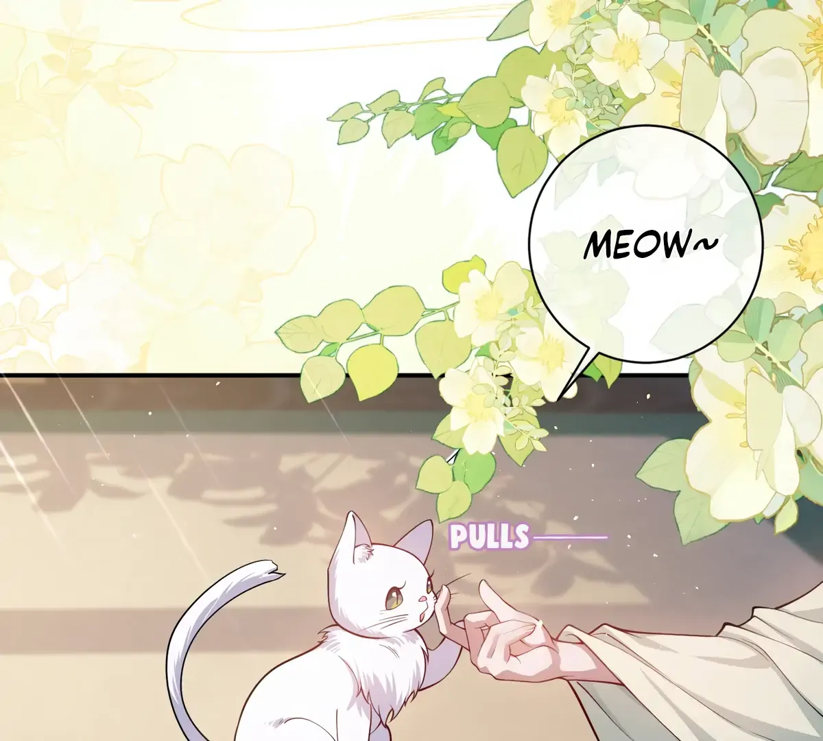 Indulging a Crazy Beauty Chapter 17 page 62 - 