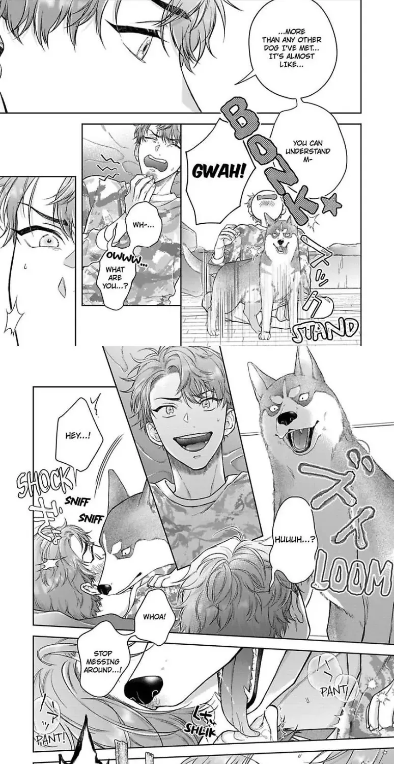 Indulging The Insatiable Pup Chapter 1 page 17 - 