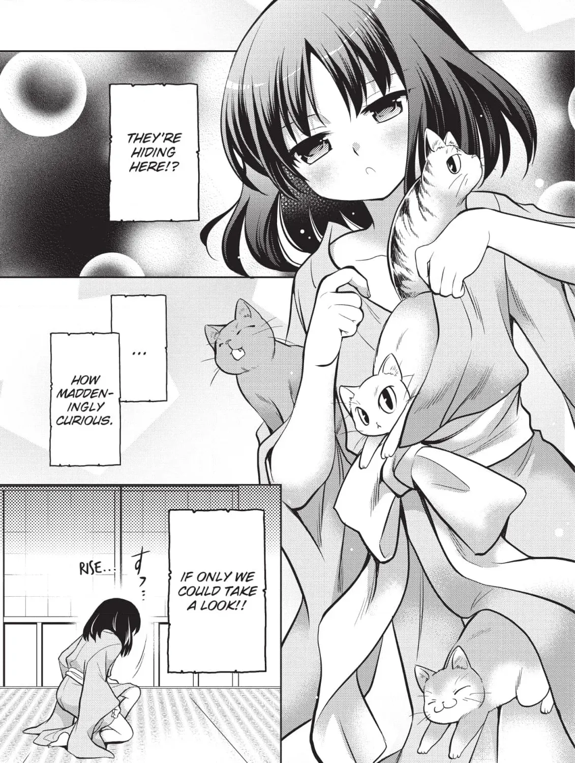 Inemurinagaya no Nekokashi Kuro Chapter 8 page 17 - 
