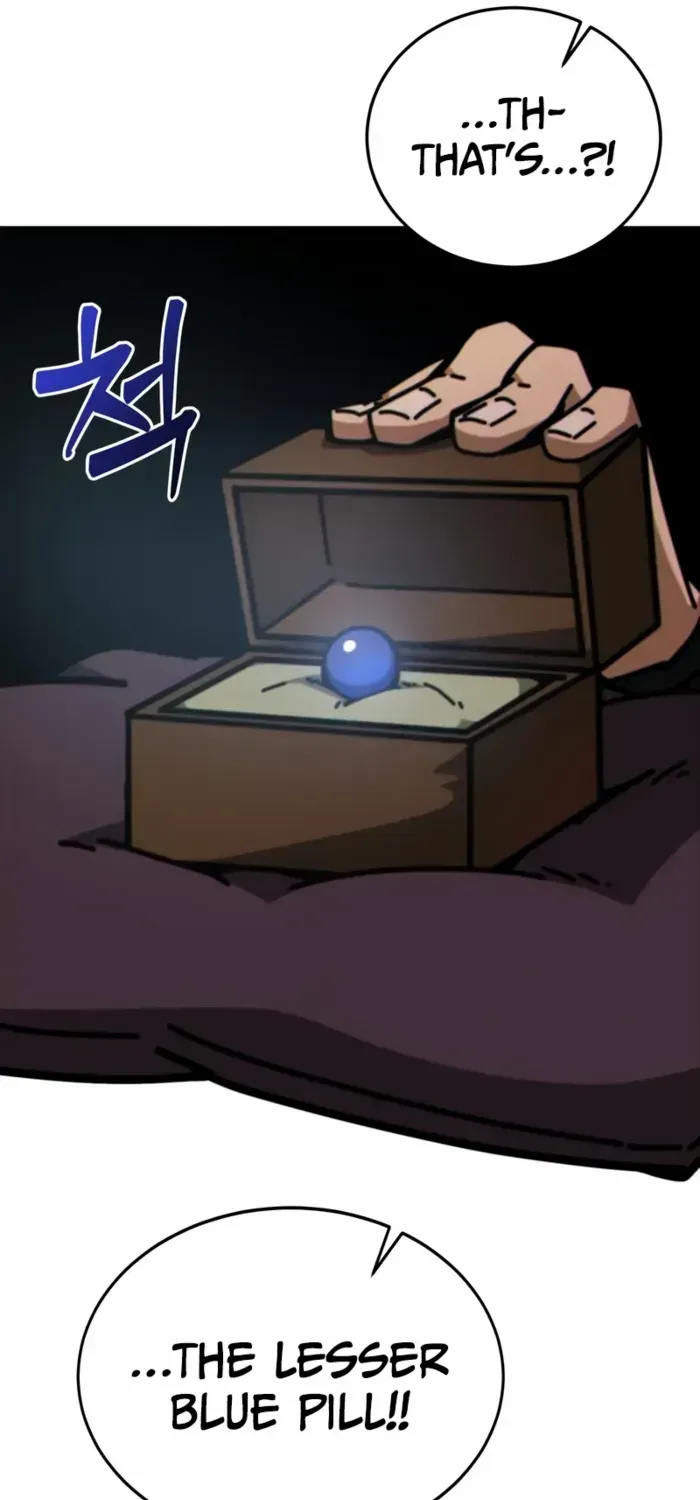 Initializing the Sect System Chapter 4 page 38 - 