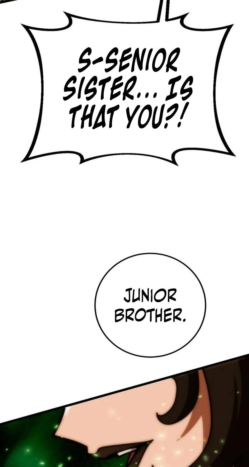 Initializing the Sect System Chapter 46 page 133 - 