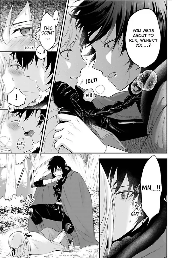 Inju no Kishi wa, Muku na Reijou wo Aishitai Chapter 1 page 18 - 