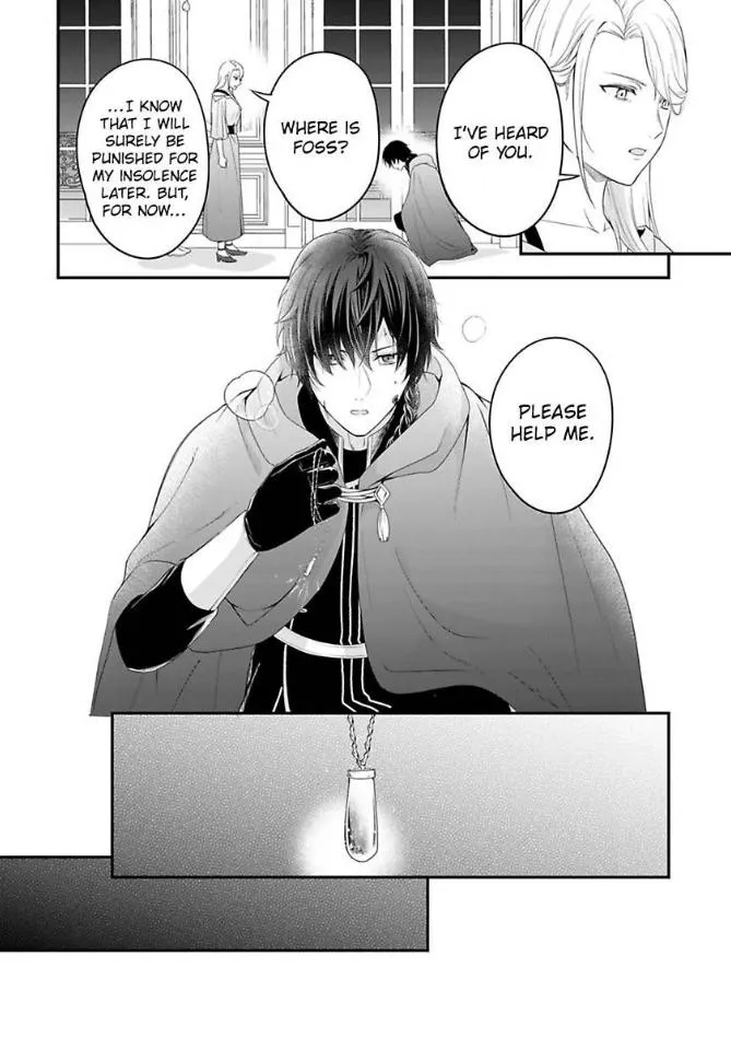 Inju no Kishi wa, Muku na Reijou wo Aishitai Chapter 3 page 15 - 