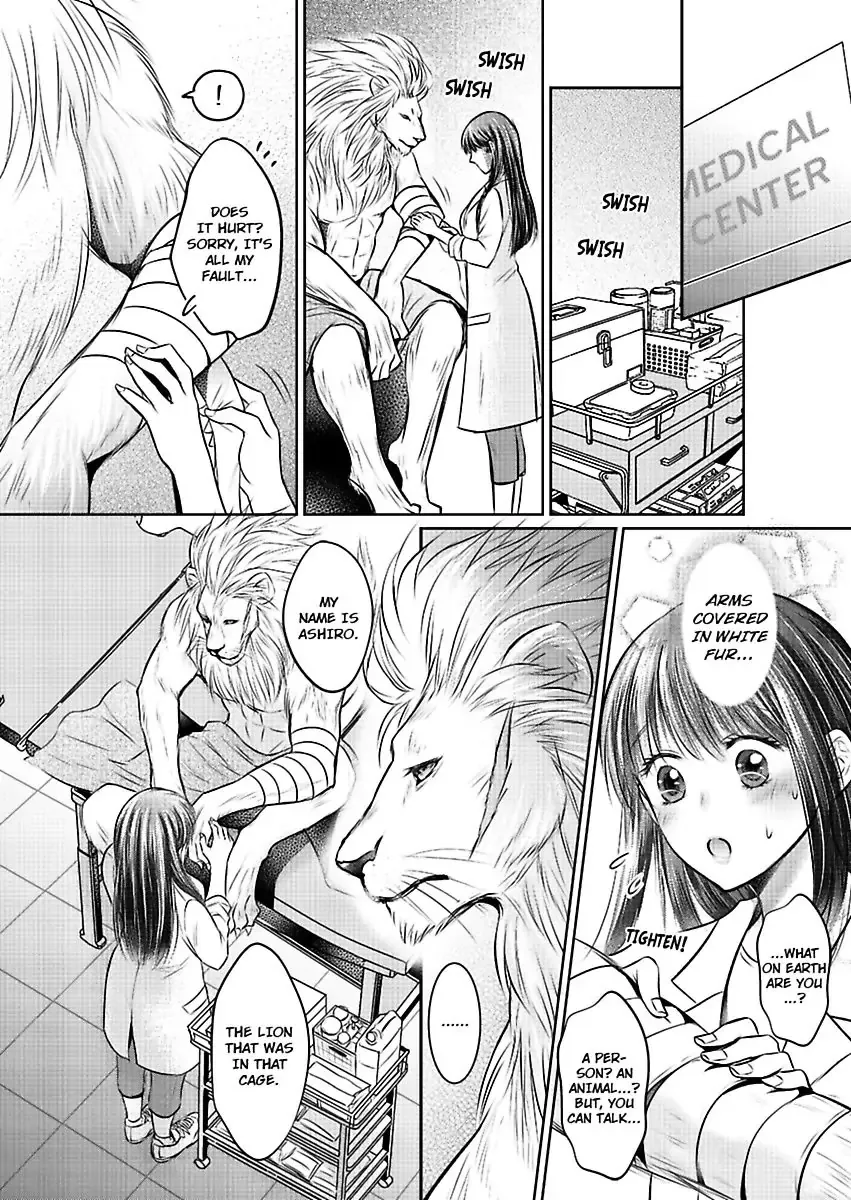 Innocent Virgin At The Whims Of A Silver Lion Chapter 1 page 15 - 