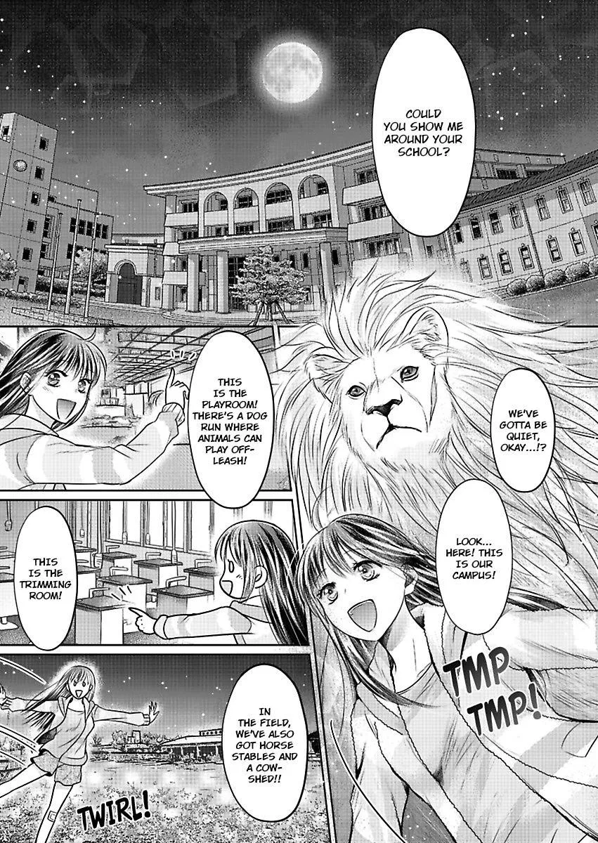 Innocent Virgin At The Whims Of A Silver Lion Chapter 2 page 12 - 