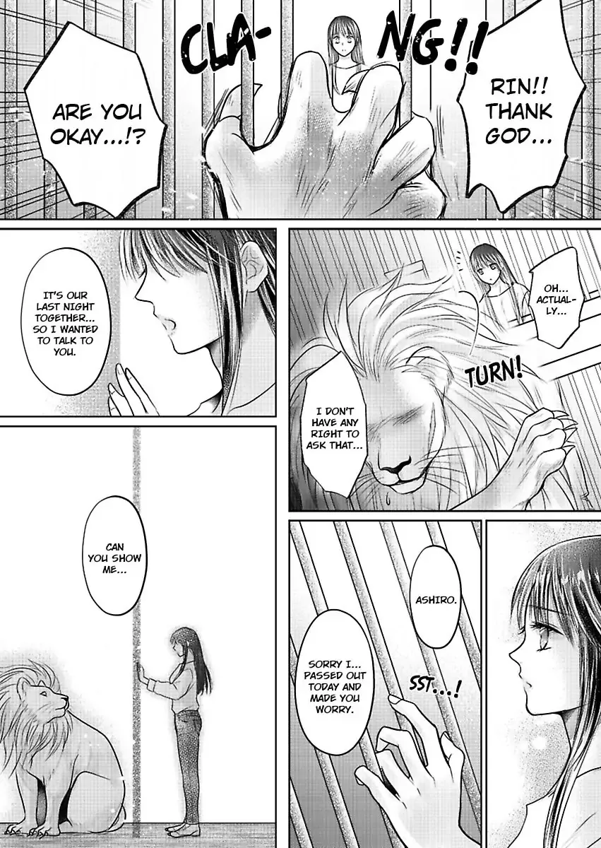 Innocent Virgin At The Whims Of A Silver Lion Chapter 3 page 13 - 