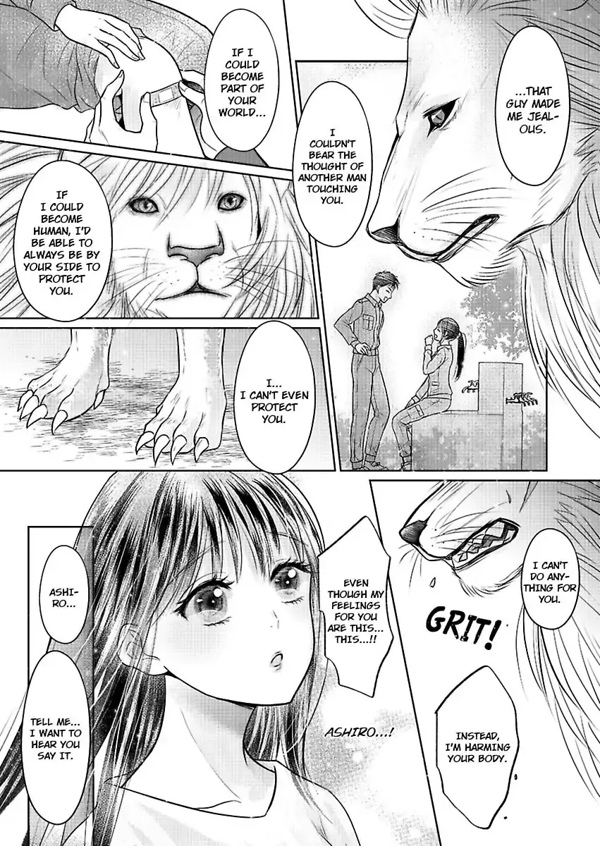 Innocent Virgin At The Whims Of A Silver Lion Chapter 3 page 16 - 
