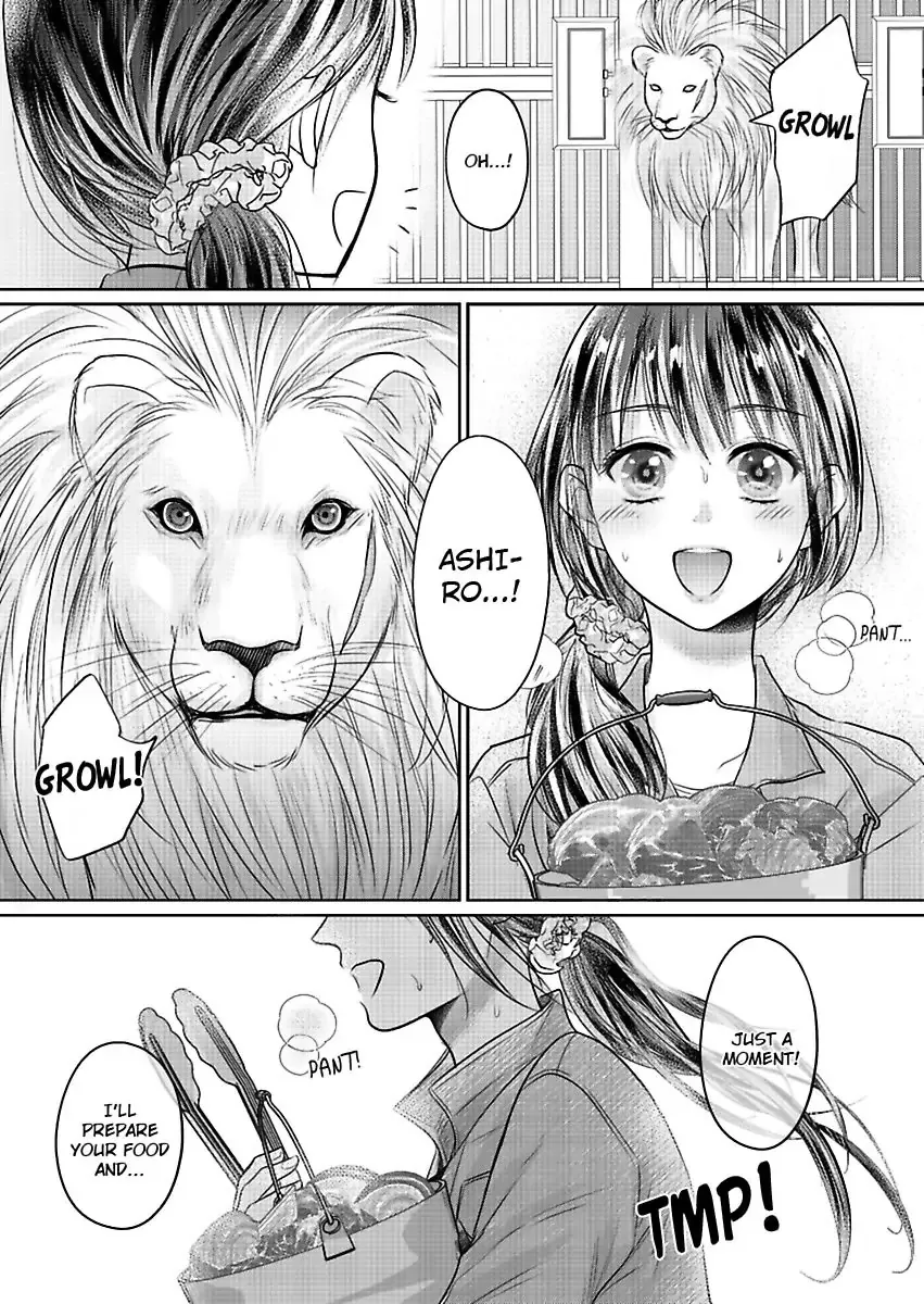 Innocent Virgin At The Whims Of A Silver Lion Chapter 3 page 5 - 