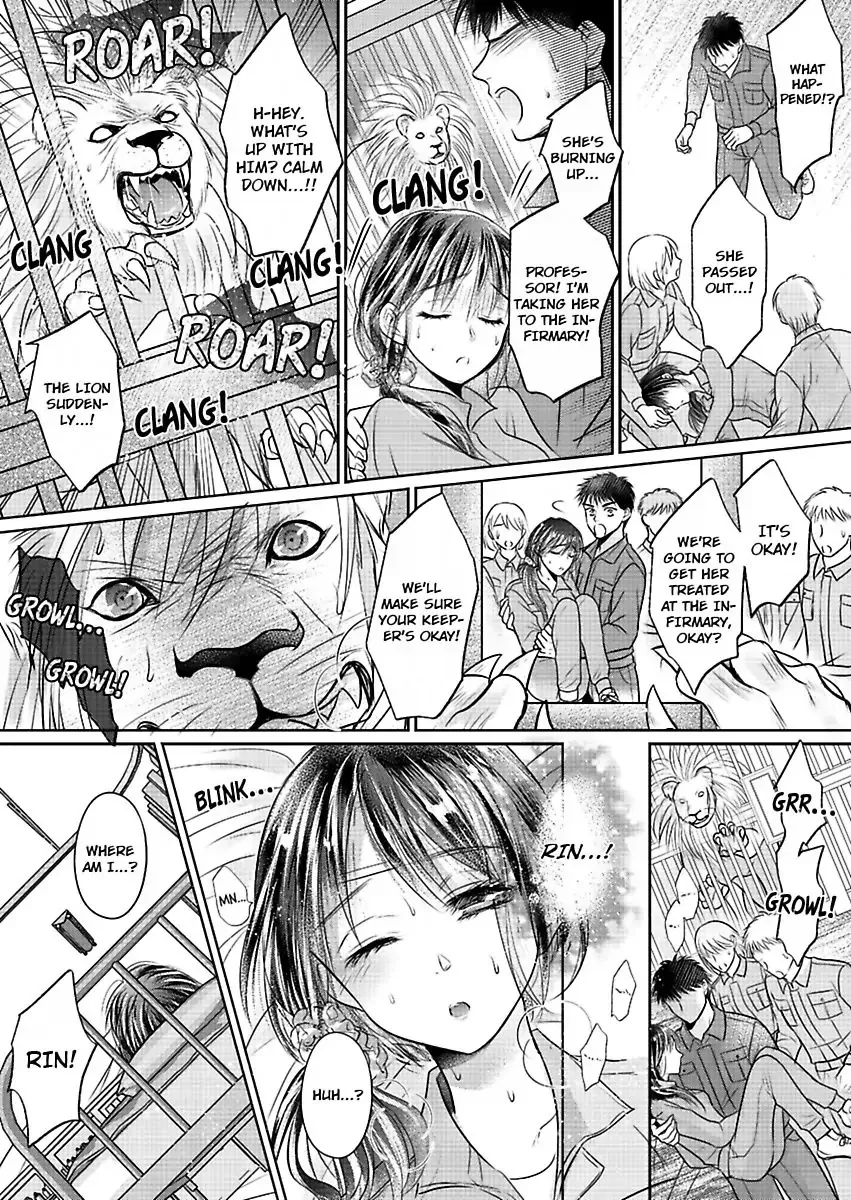Innocent Virgin At The Whims Of A Silver Lion Chapter 3 page 8 - 