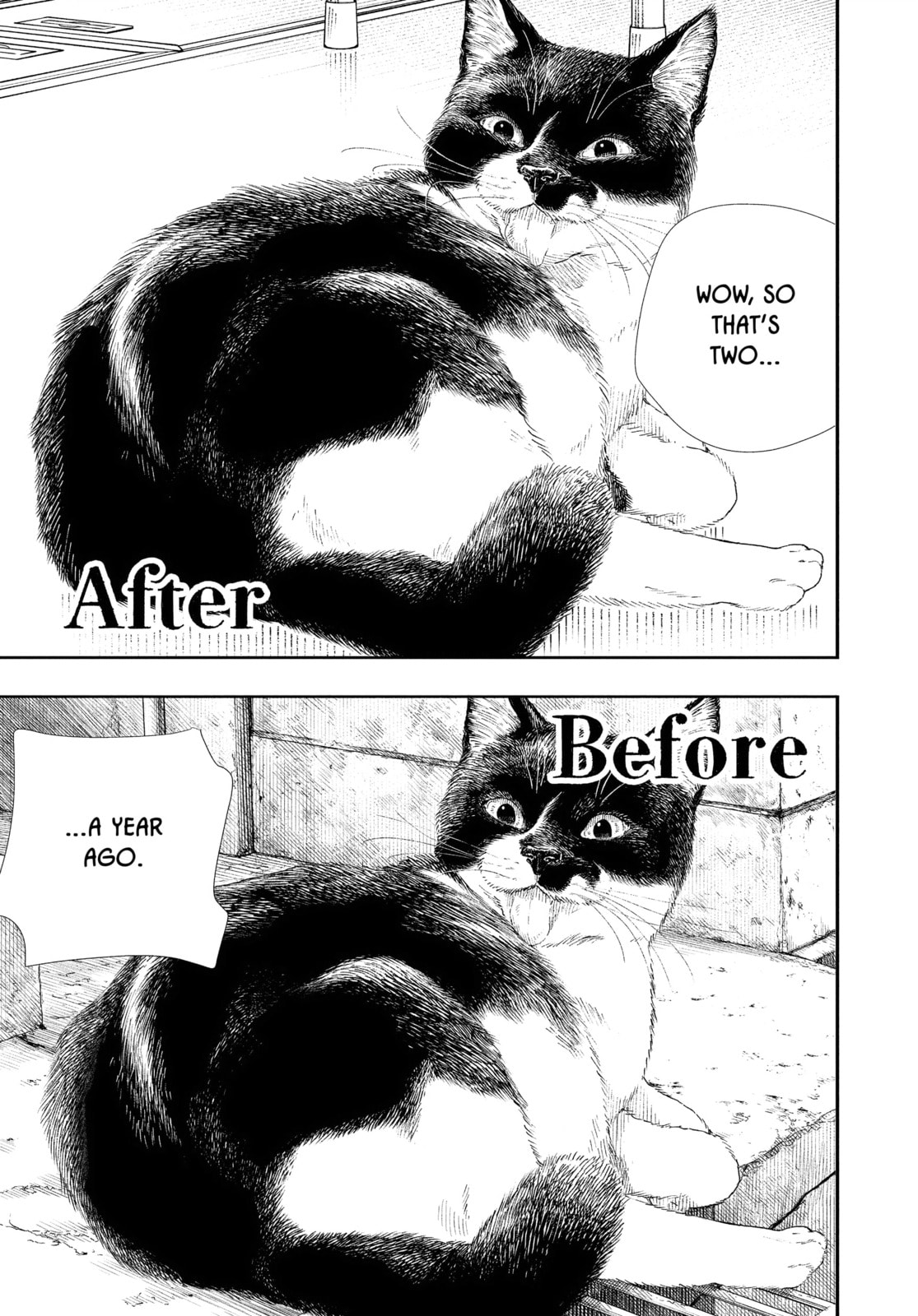 Insomniacs After School Chapter 92 page 3 - 