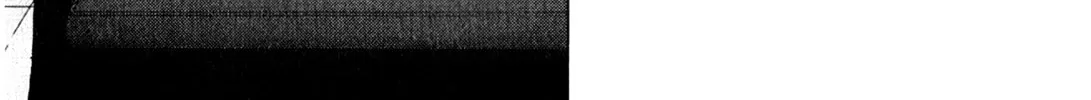 Inspector Kurokochi Chapter 11 page 37 - 