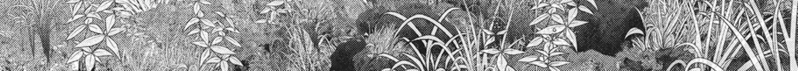 Into the Deepest, Most Unknowable Dungeon Chapter 22 page 26 - 