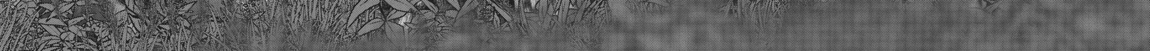 Into the Deepest, Most Unknowable Dungeon Chapter 3 page 64 - 
