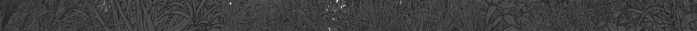 Into the Deepest, Most Unknowable Dungeon Chapter 36 page 74 - 